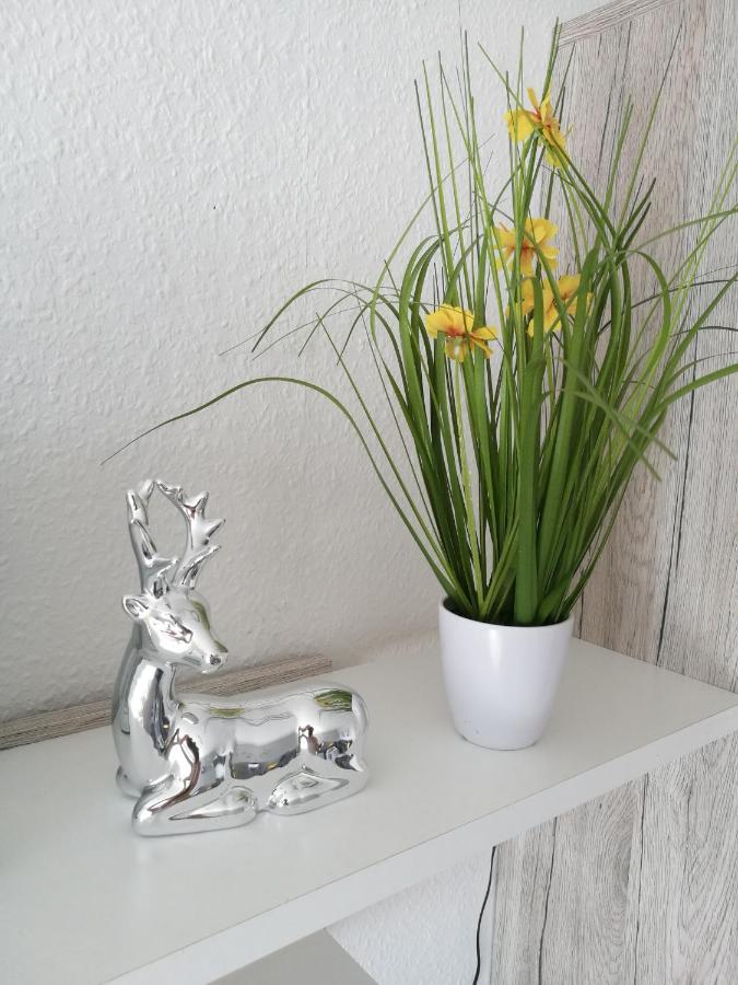 Apartment Schoener Weitblick *