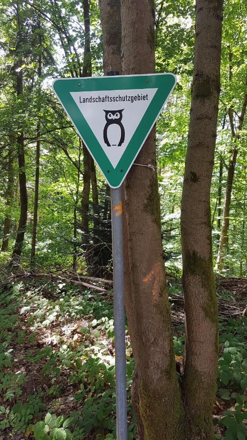 Schoener Weitblick * Bad Sachsa